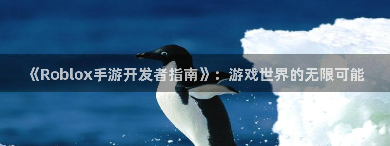 恩佐娱乐手机版最新功能介绍大全：《Roblox手游开发者指南