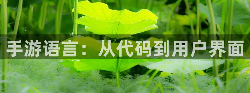 恩佐娱乐登陆：手游语言：从代码到用户界面