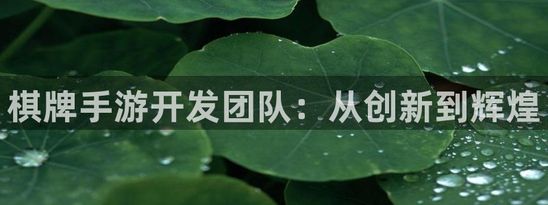 恩佐娱乐官方注册：棋牌手游开发团队：从创新到辉煌
