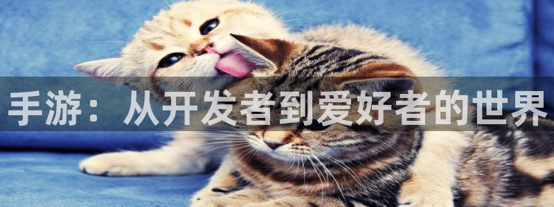 恩佐娱乐1：手游：从开发者到爱好者的世界