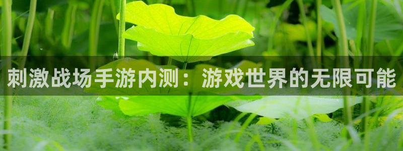 恩佐娱乐1：刺激战场手游内测：游戏世界的无限可能