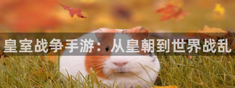 恩佐娱乐平台正规吗安全吗：皇室战争手游：从皇朝到世界战乱