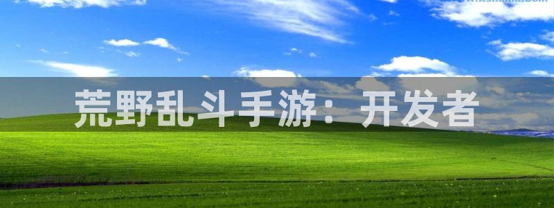 恩佐娱乐平台正规吗安全吗：荒野乱斗手游：开发者