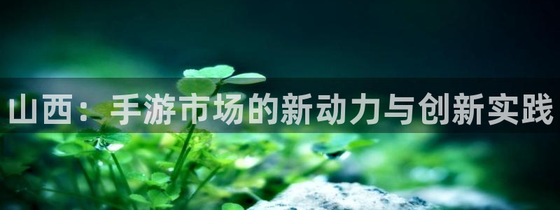 恩佐娱乐平台正规吗知乎：山西：手游市场的新动力与创新实践