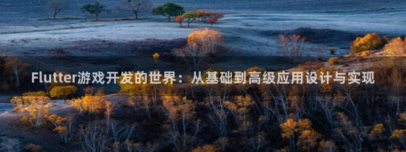恩佐娱乐：Flutter游戏开发的世界：从基础到高级应用设计