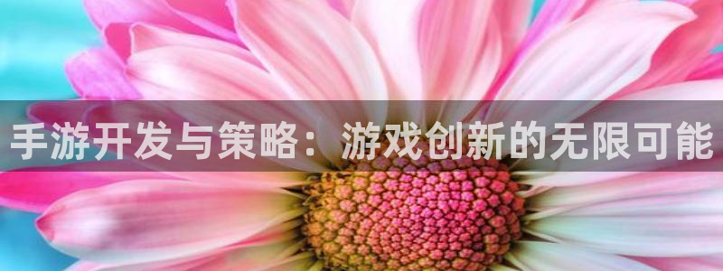 恩佐娱乐手机版最新功能介绍视频：手游开发与策略：游戏创新的无