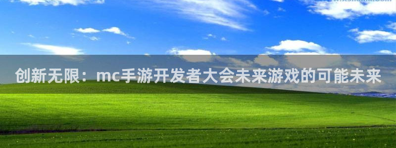 恩佐娱乐注册：创新无限：mc手游开发者大会未来游戏的可能未来