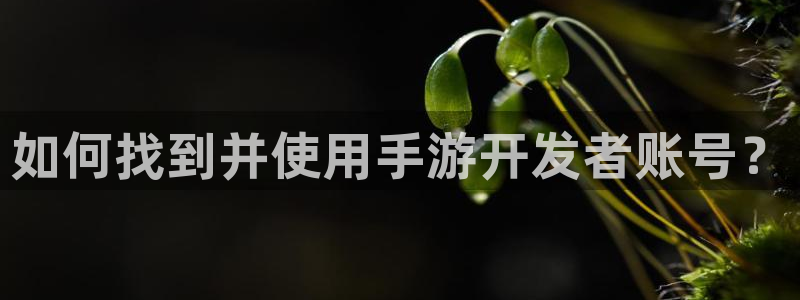 恩佐娱乐官方注册：如何找到并使用手游开发者账号？