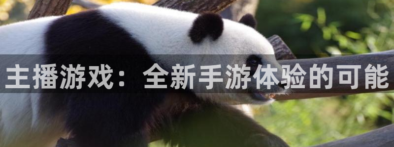 恩佐娱乐官方注册：主播游戏：全新手游体验的可能