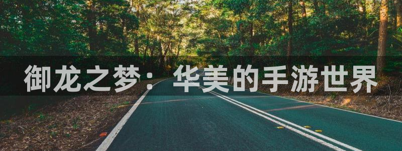 恩佐娱乐手机版最新功能介绍视频：御龙之梦：华美的手游世界