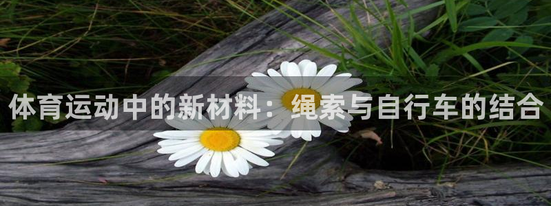 球速体育