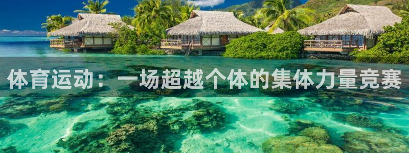 球速体育