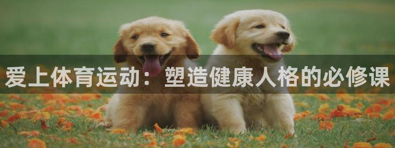 球速体育