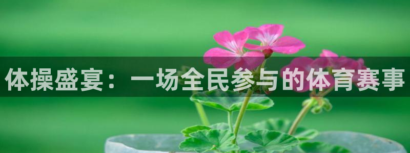 球速体育：体操盛宴：一场全民参与的体育赛事