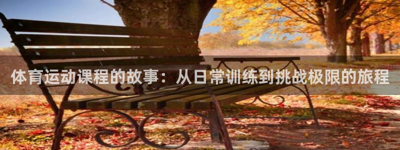 球速体育：体育运动课程的故事：从日常训练到挑战极限的旅程