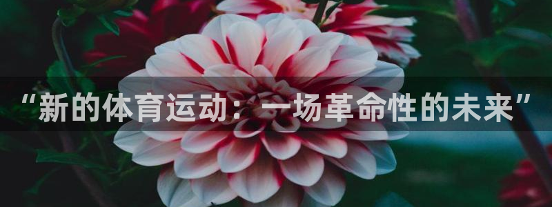 球速体育：“新的体育运动：一场革命性的未来”