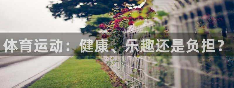 球速体育：体育运动：健康、乐趣还是负担？
