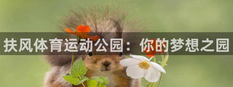 球速体育：扶风体育运动公园：你的梦想之园