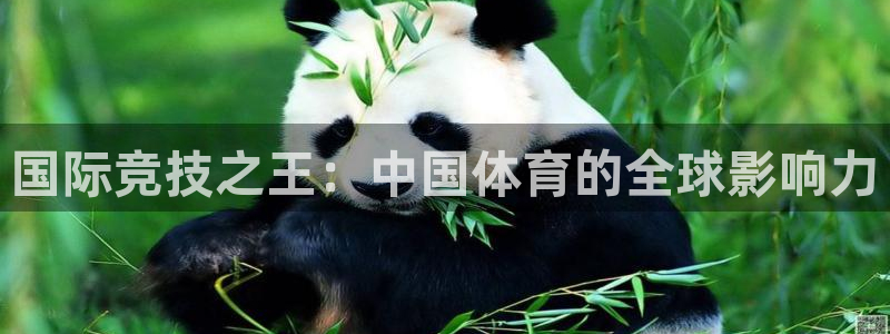 球速体育：国际竞技之王：中国体育的全球影响力